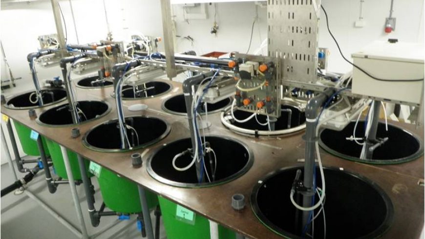 Jauna studiju programma – „Akvakultūru bioloģija”