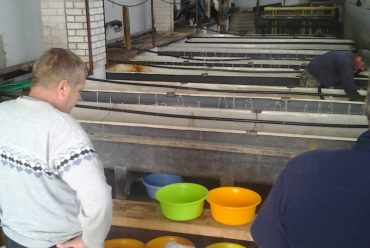 Uzlabos Latvijas zivjaudzētāju konkurētspēju