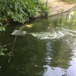 dīķa aerācija ziemā