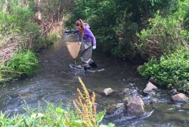 Ūdens kvalitāte – ko forelei nozīmē dzīvot ar medicīnas preparātiem pilnā ūdenī