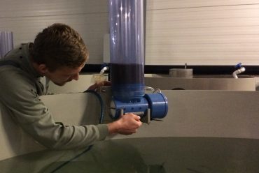 Zivis ir daudz efektīvākas barības pārstrādātājas