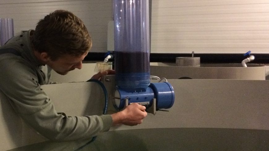 Zivis ir daudz efektīvākas barības pārstrādātājas